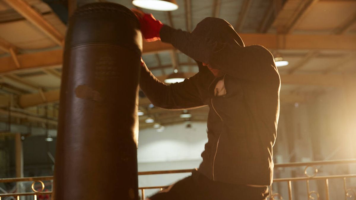Agarrar Eliminar cine Los mejores sacos de boxeo para entrenar en casa