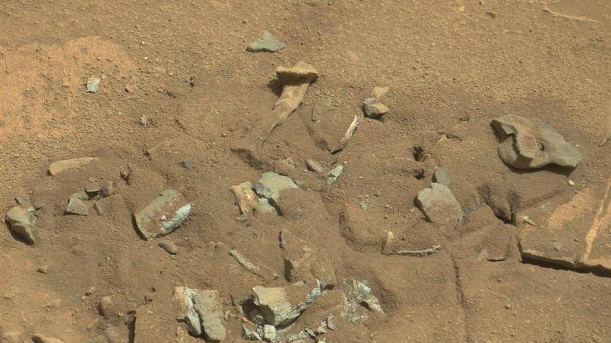 ¿Huesos en la superficie de Marte? Lo que realmente significa la foto de la NASA