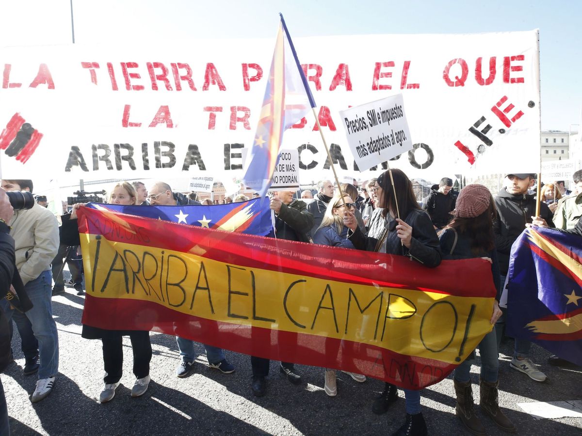Foto: Agricultores y ganaderos protestan ante el Ministerio de Agricultura, este miércoles, en Madrid. (EFE)