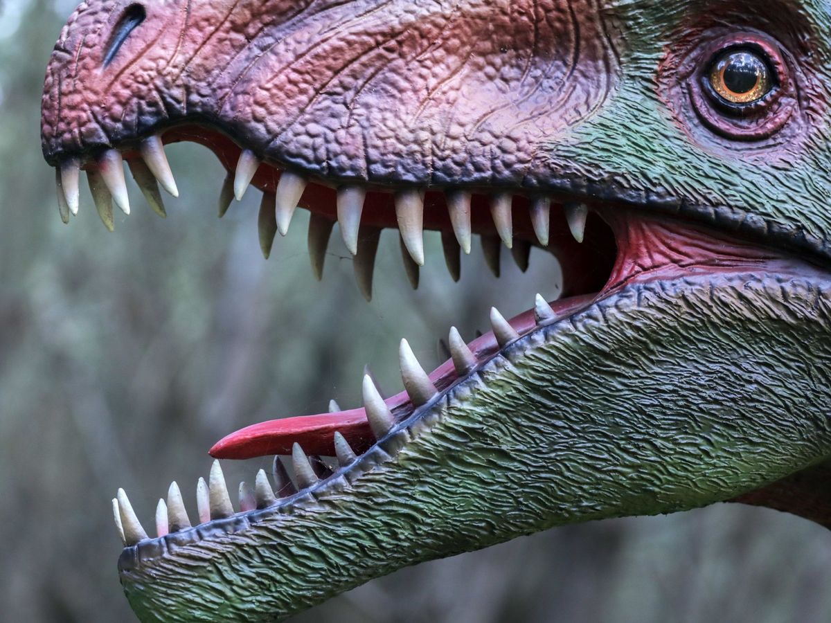 Foto: Parque de los dinosaurios en lourinha