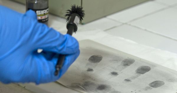 Foto: El cotejo de huellas dactilares es una de las pruebas definitivas para incriminar a los delincuentes. (EFE)