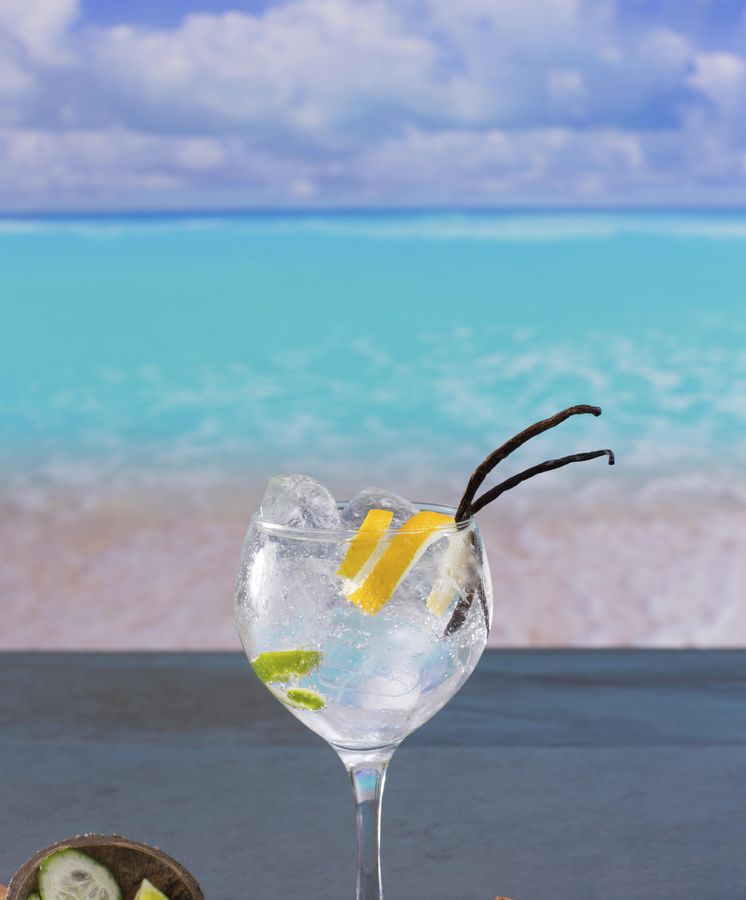 El gin-tonic perfecto para el verano: los secretos para prepararlo en casa