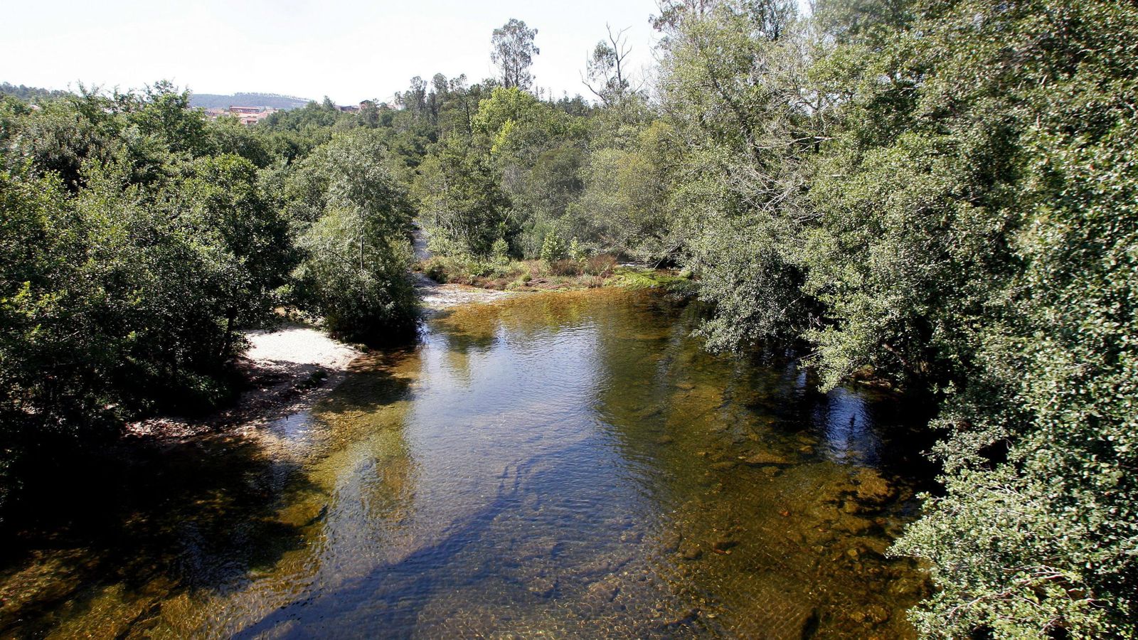 Foto: Vista del río Tea (Pontevedra). (EFE)