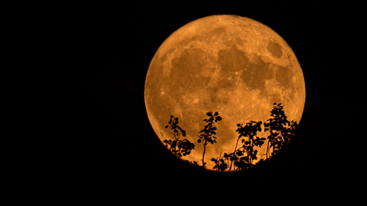 Luna llena del Ciervo: cómo, cuándo y a qué hora ver la primera superluna de 2023
