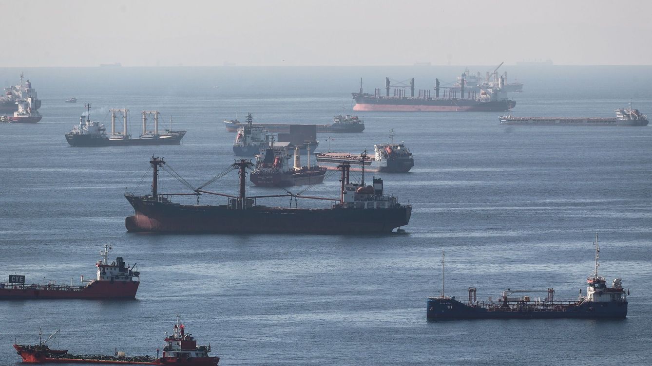 Foto: Buques de carga que transportan grano ucraniano en el mar de Mármara. (EFE/EPA/Erdem Sahin) 