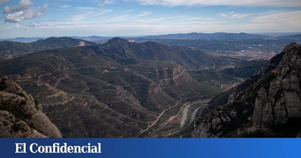 www.elconfidencial.com