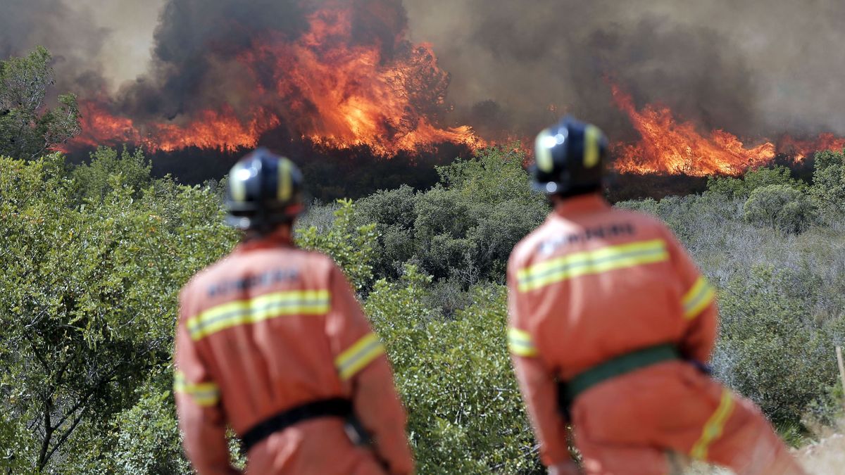 El fuego se ceba con el interior de Valencia: 3.000 hectáreas arrasadas por cuatro focos