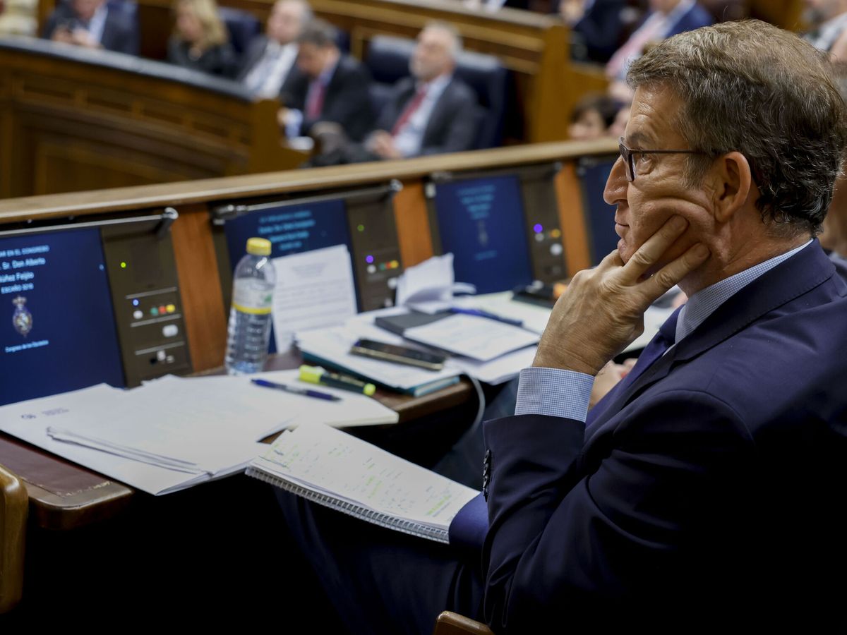 Foto: Alberto Núñez Feijóo, en su escaño del Congreso de los Diputados. (EFE/Chema Moya)