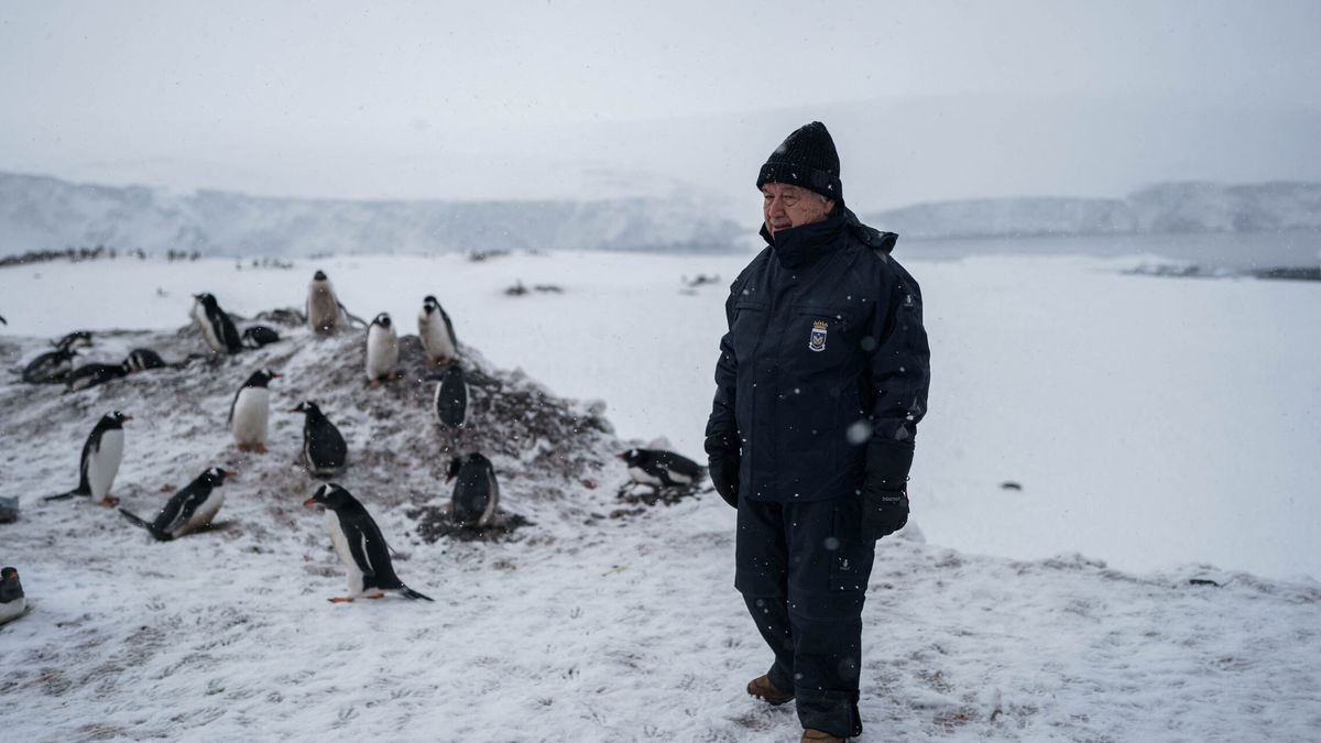 En qué se parece la Antártida a las abejas o por qué el líder de la ONU se hace fotos con pingüinos