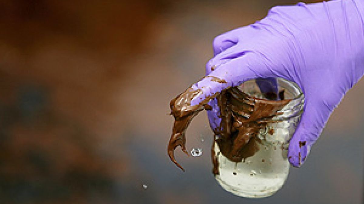 El dinero del petróleo ‘ensucia’ la respuesta de los grupos ecologistas a la catástrofe de BP