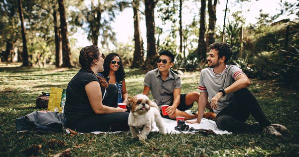 Foto: Grupo de amigos haciendo un picnic.
