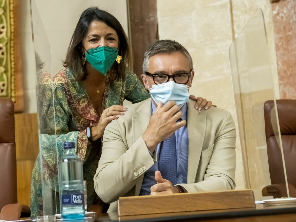 Foto: La presidenta del Parlamento de Andalucía, Marta Bosquet, y el portavoz de VOX, Manuel Gavira. (EFE/Raúl Caro)