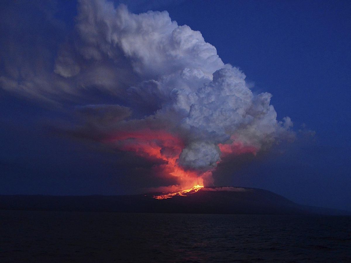 Entra en erupción un volcán Wolf en Galápagos, donde habitan especies únicas