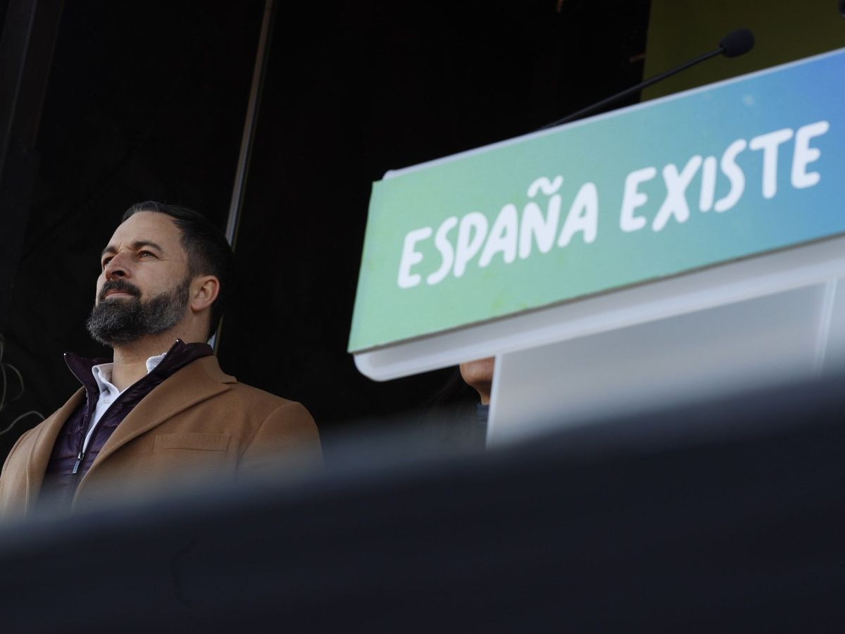 Foto: El líder de Vox, Santiago Abascal. (EFE)