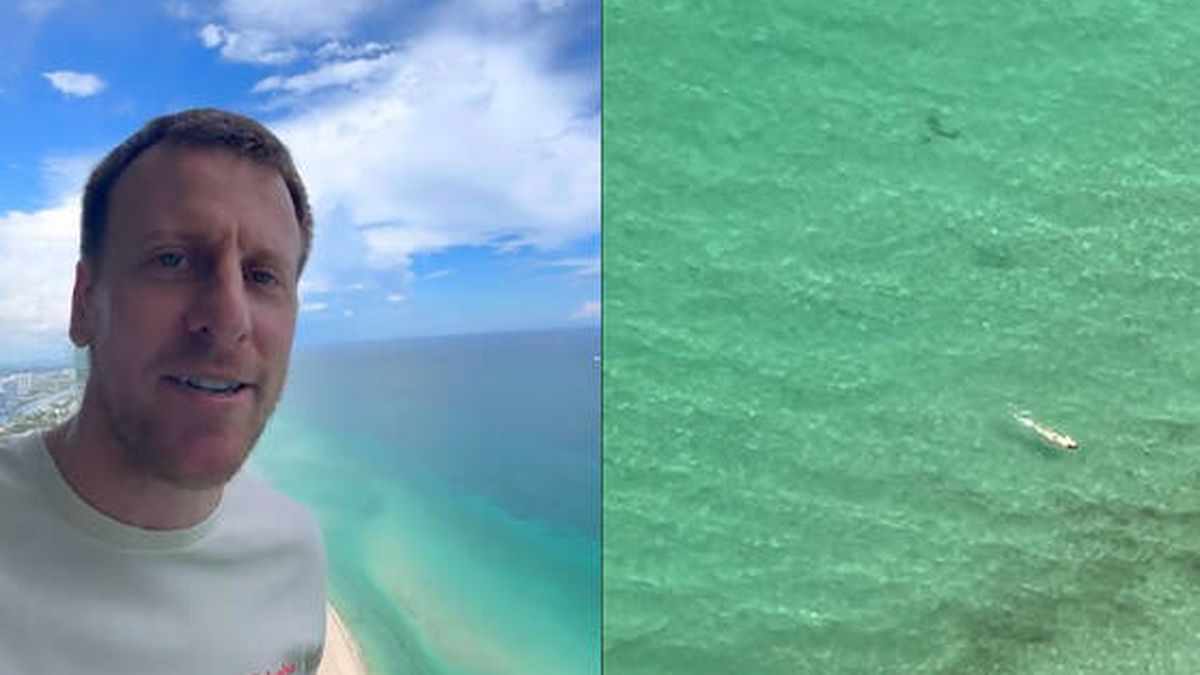 Las increíbles imágenes en una playa de Miami: se baña sin darse cuenta de que tiene tres tiburones alrededor