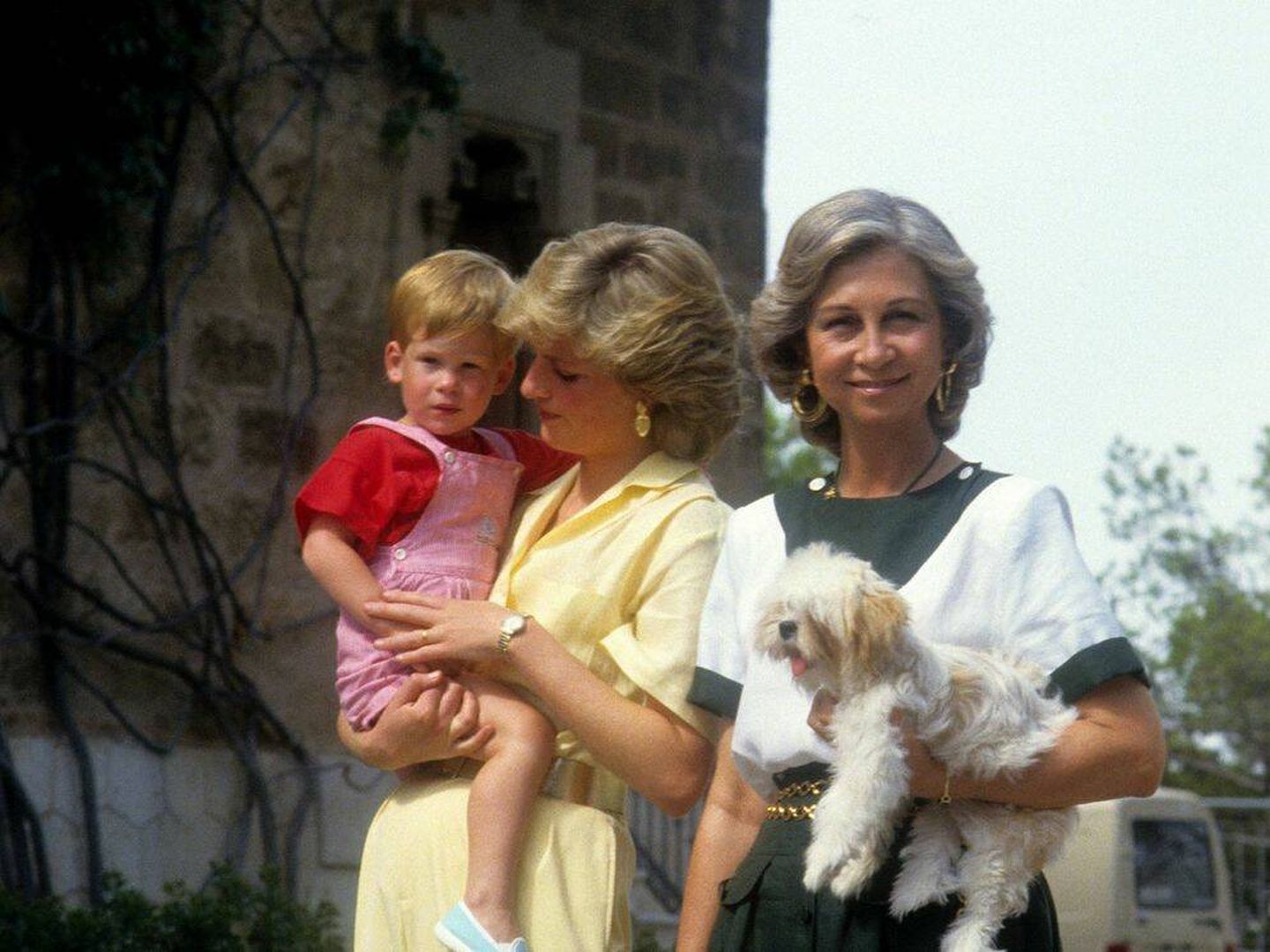 Lady Di, con su hijo Harry y la reina Sofía con su perro en Marivent. (Cordon Press)