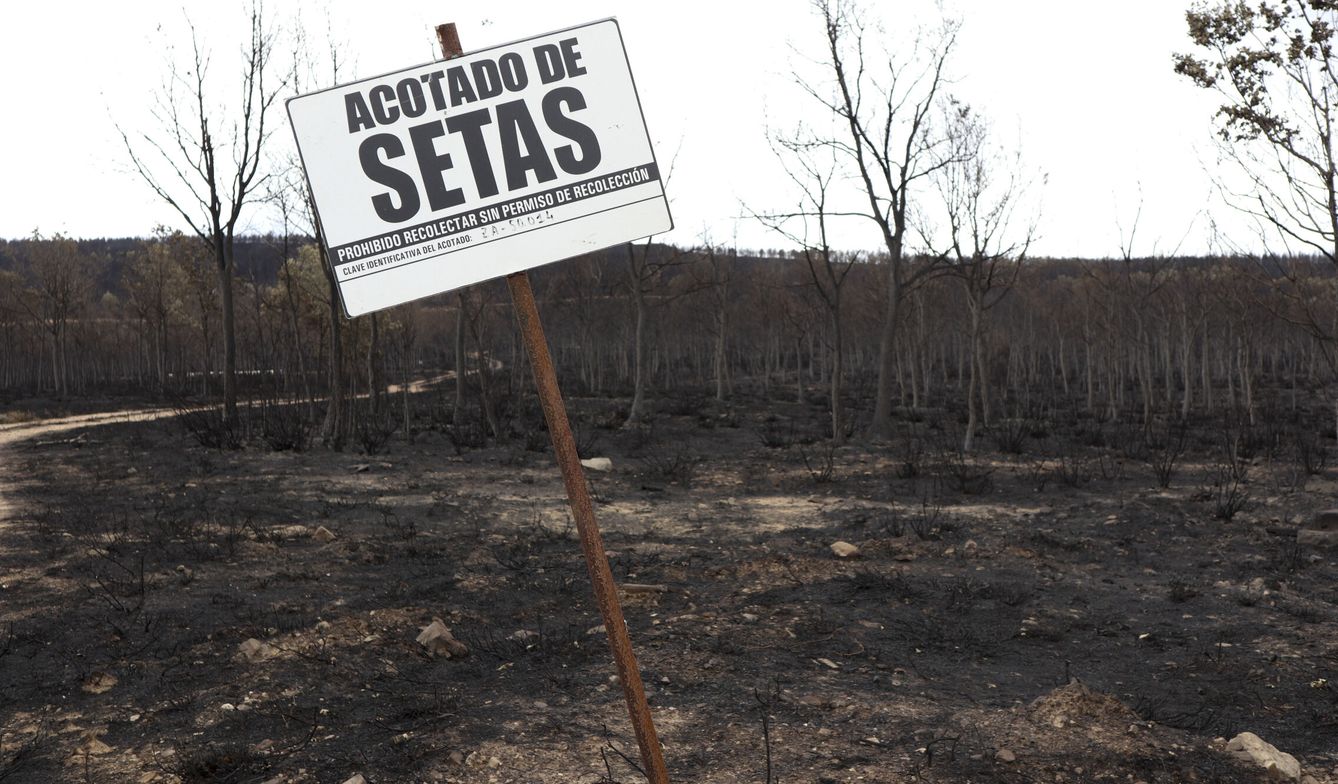 Imagen de una de las zonas afectadas por el incendio (EFE/M.A. Montesinos) 