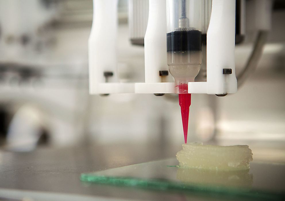 Foto: El objetivo de la bioimpresión es fabricar tejidos y órganos artificiales a partir de células vivas