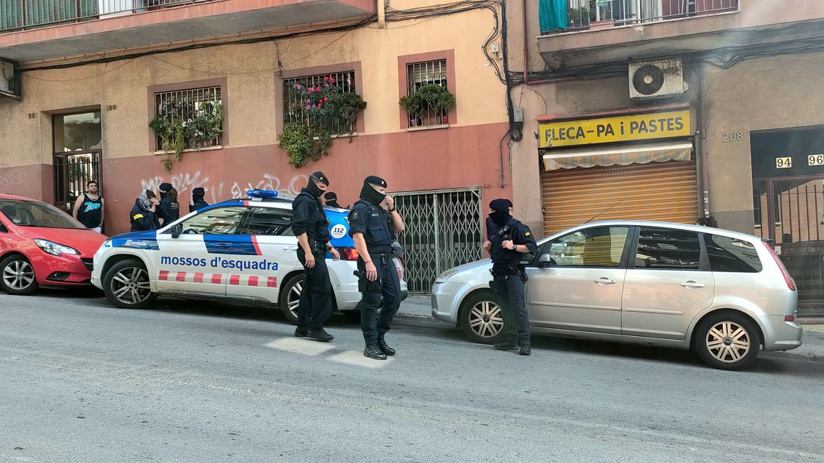 Desarticulan una banda en Tarragona que robaba DNI y pedía créditos a nombre de sus víctimas