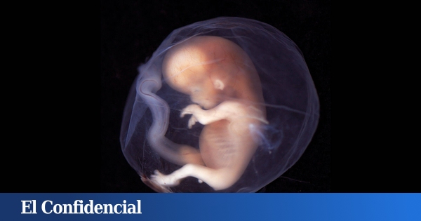 www.elconfidencial.com