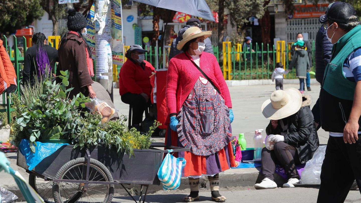Una mujer vende plantas medicinales en un mercado de la ciudad boliviana de El Alto. (EFE)