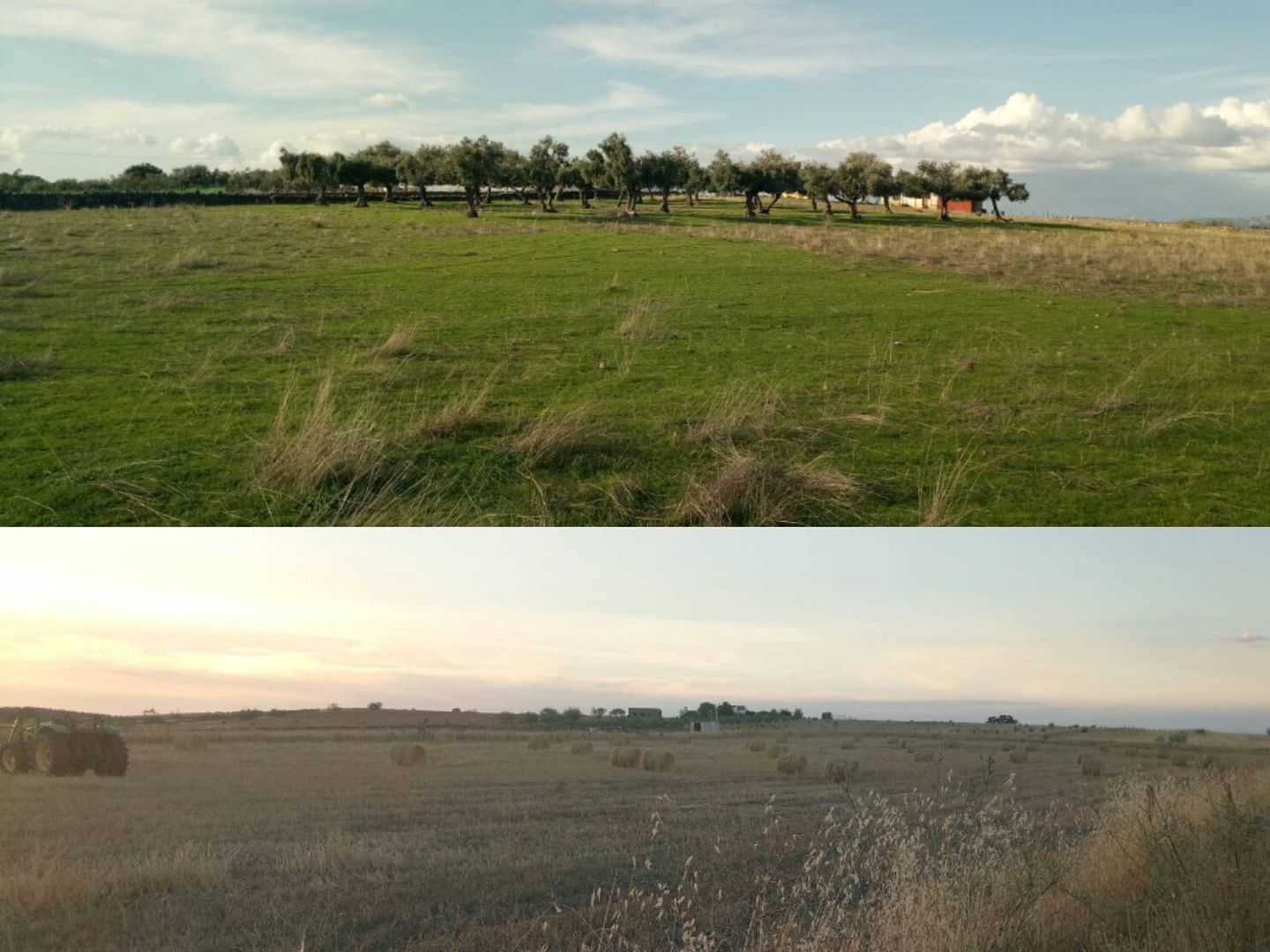 Dos fotos de paisajes en una sola publicación