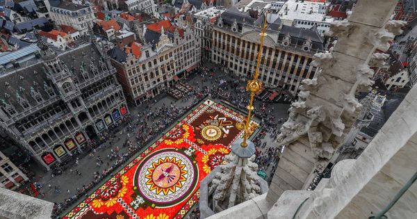 Foto: Vista del tapiz floral gigante de Bruselas la pasada semana. (Reuters)