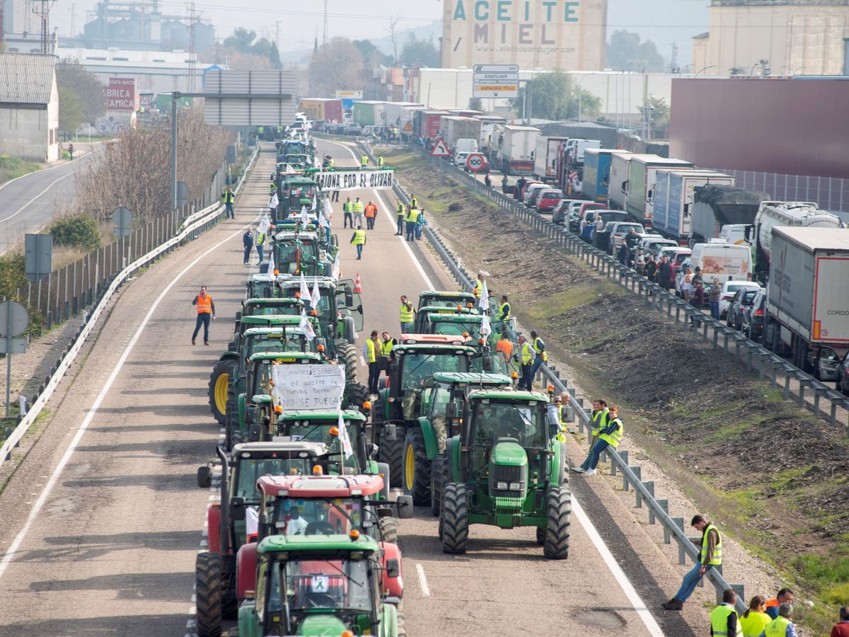 Foto: Caravana de tractores de los olivareros en Jaén, en una foto de archivo (EFE)