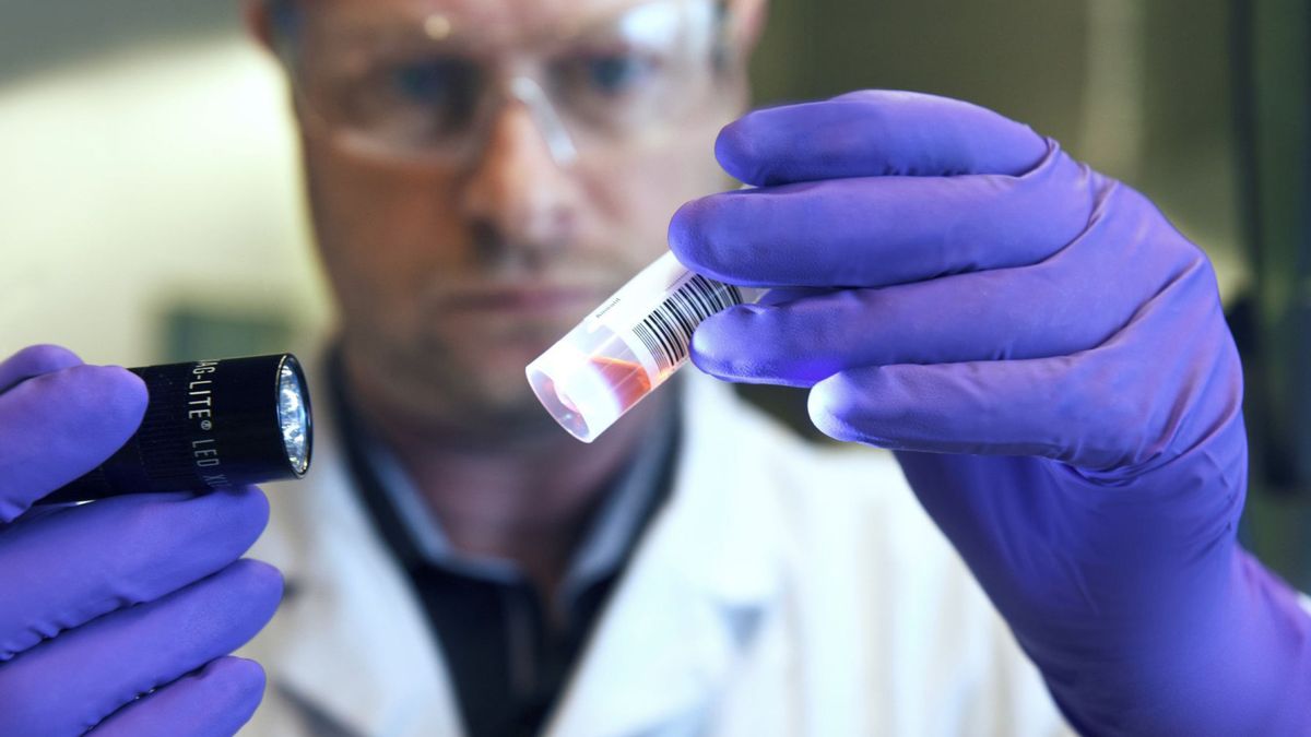 Descubren un método rentable para la detección temprana del cáncer en muestras de sangre