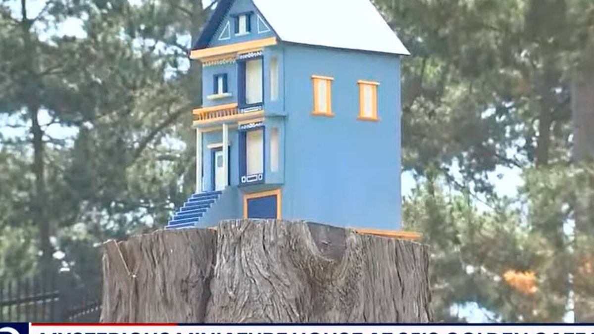 ¿Quién ha puesto esa casa encima de un árbol? El misterio de San Francisco