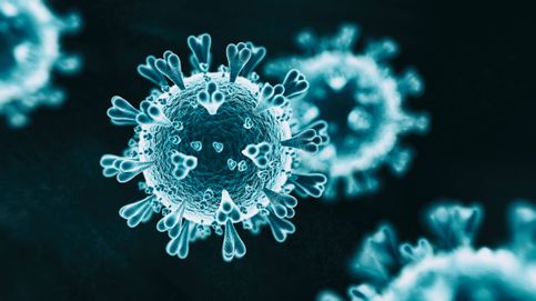 La Aemet sugiere que el coronavirus prefiere las regiones más frías de España
