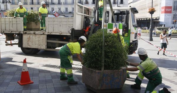 Foto: Operarios del Ayuntamiento de Madrid colocan jardineras en la céntrica Calle de Montera, una de las más concurridas de la capital. (Efe) 