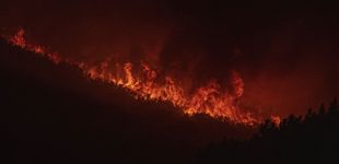 Post de Las llamas siguen abrasando bosques de Galicia, Extremadura y Castilla y León 