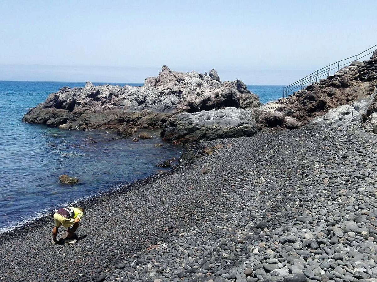Foto: Las proyecciones sobre el cambio climático señalan a la playa de Alcalá en Guía de Isora, Tenerife, como la primera en desaparecer. (Web del ayuntamiento)