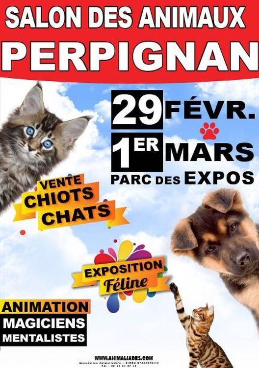 Cartel anunciando la feria de animales en Perpignan el próximo 29 de febrero y 1 de marzo en el Parque de las Exposiciones