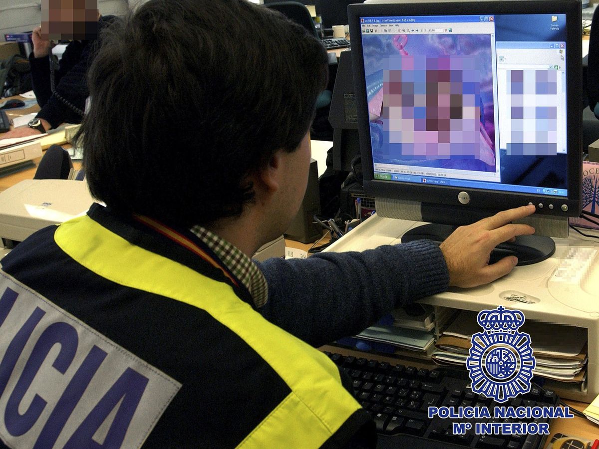 Foto: Policía Nacional, frente a un ordenador. (EFE)