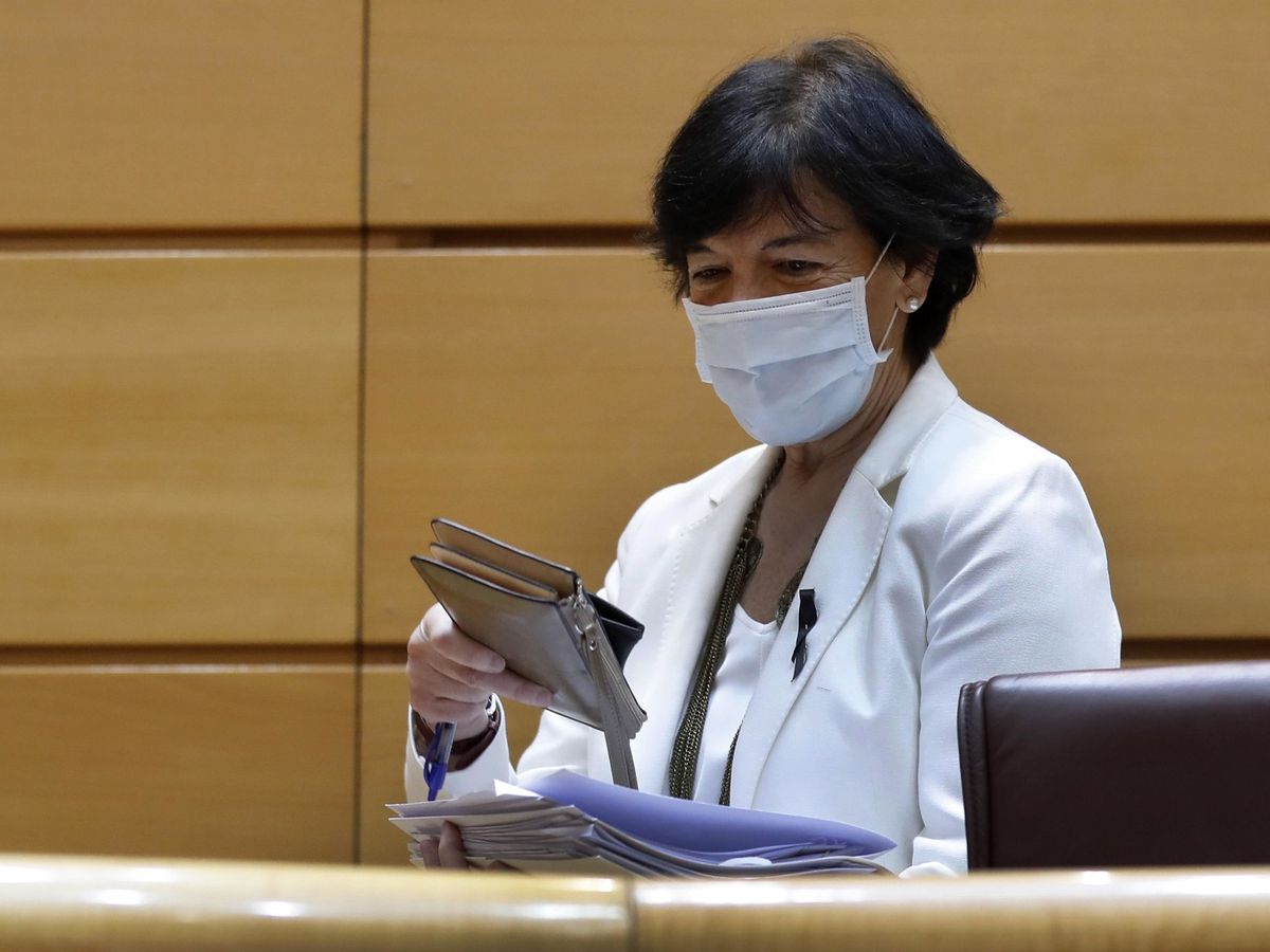 Foto: Isabel Celaá, durante su comparecencia en el Senado. (EFE)