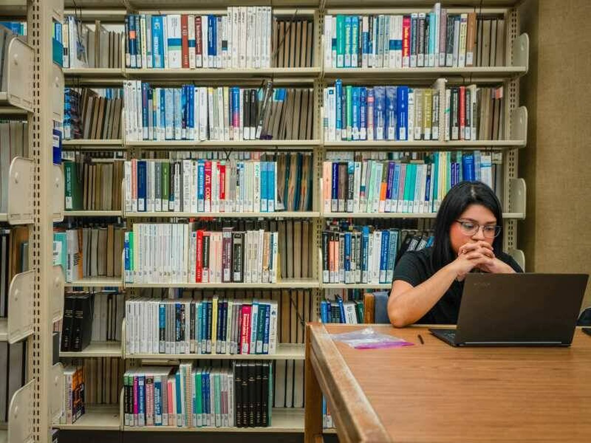 Foto: Una chica estudiando en la biblioteca. (Getty/Brandon Bell)