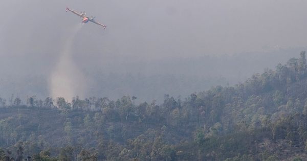 Foto: Foto de archivo de una aeronave del ministerio de Agricultura descargando agua sobre un incendio. (EFE)