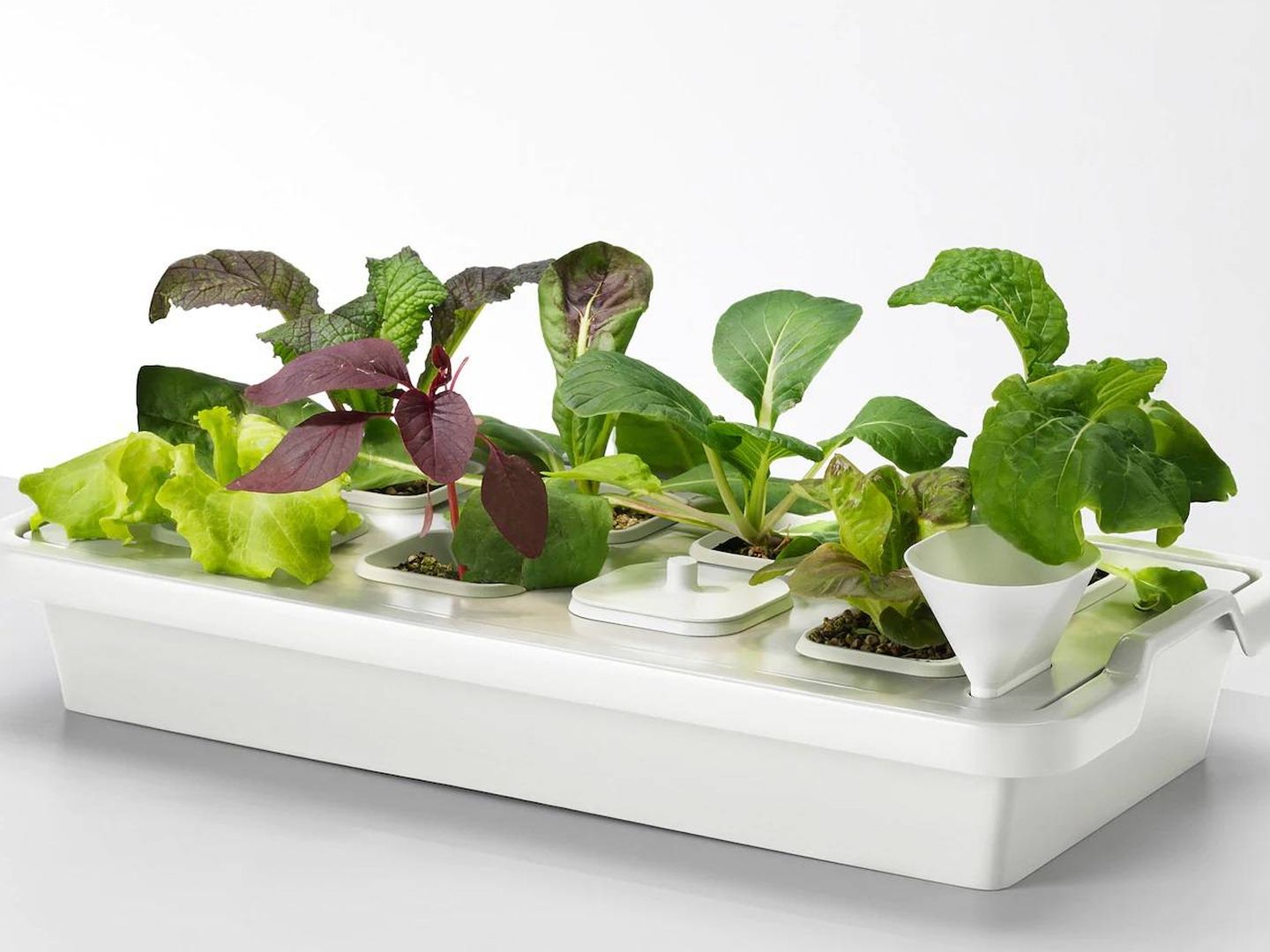 Tus plantas crecerán fuertes gracias a estas bandejas de Ikea. (Cortesía)