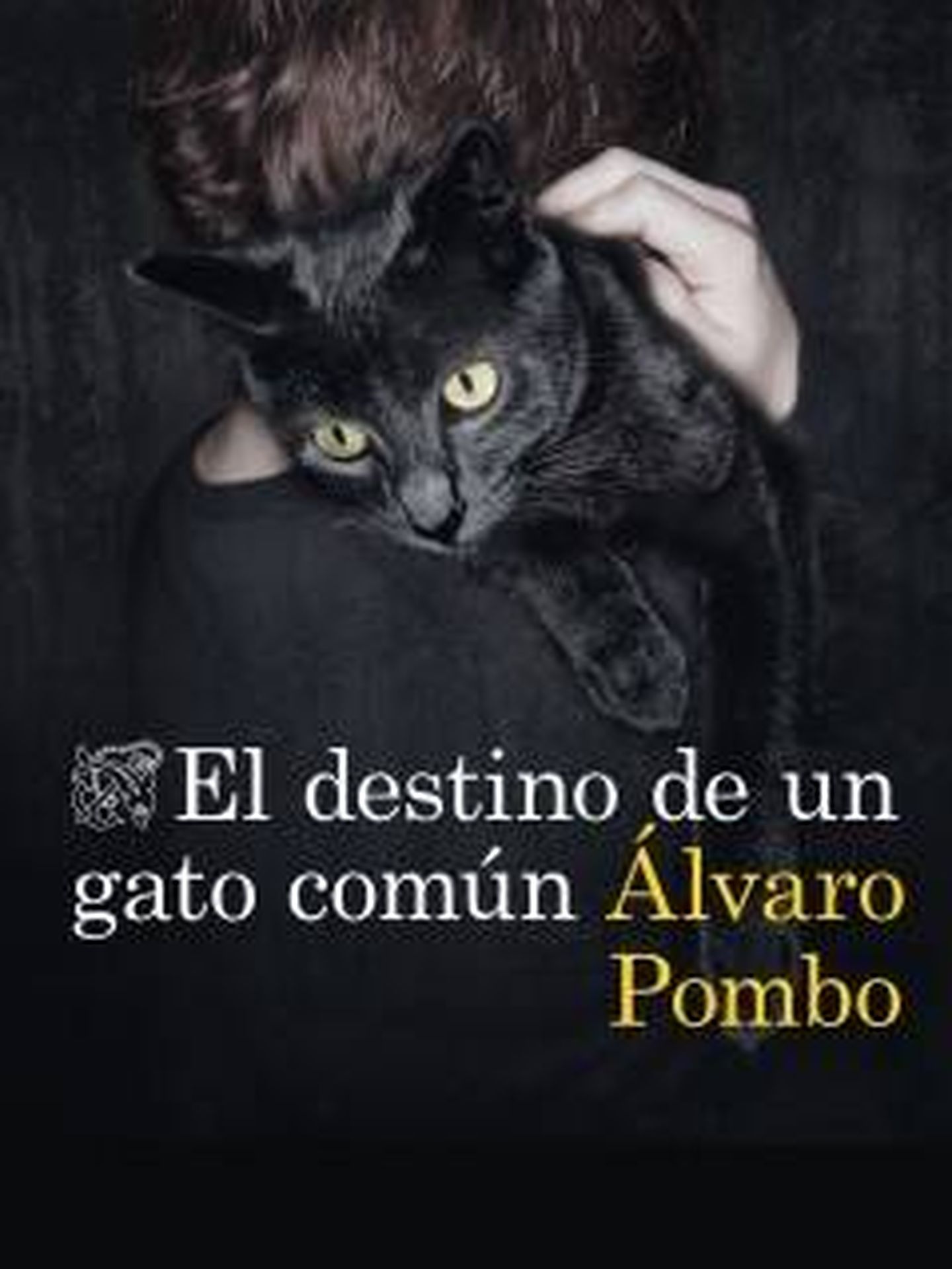 'El destino de un gato común'.