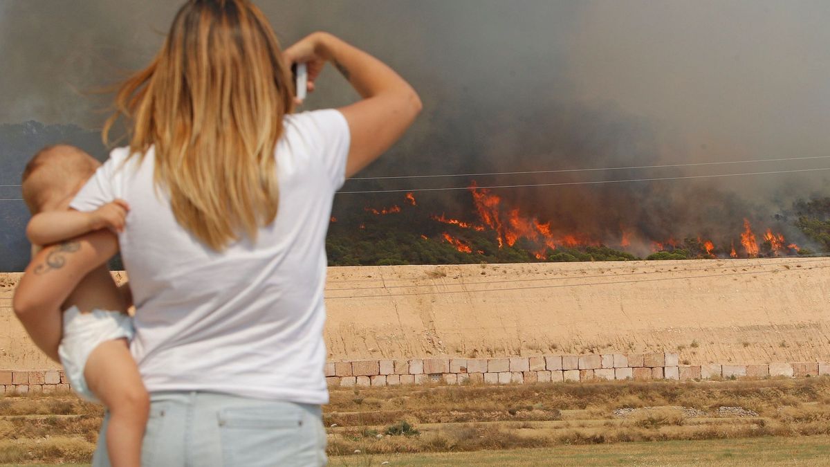 Más refuerzos para extinguir el incendio de Monóvar, que arrasa ya 140 hectáreas
