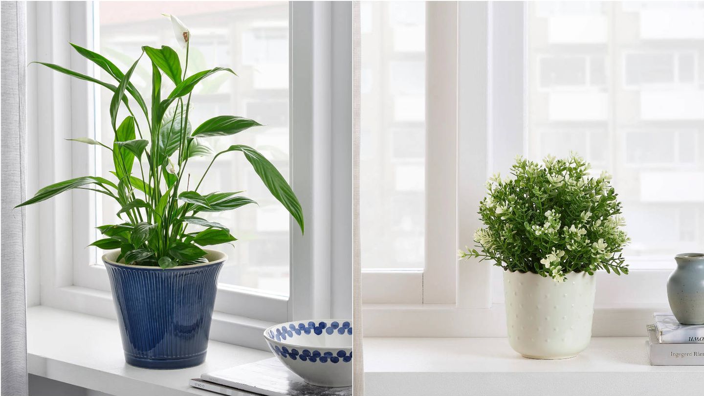Maceteros estilosos para decorar tu casa con plantas de Ikea. (Cortesía)