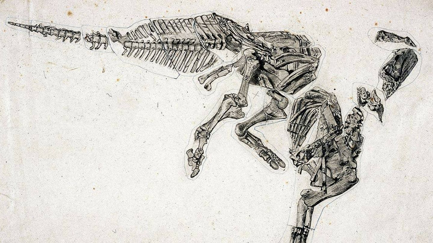 Ilustración realizada en 1885 donde recrea la posición en la que murió un 'Iguanodon bernissartensis'. (Wikipedia)