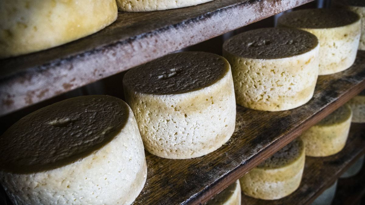 Los quesos artesanales que desafiaron el dominio soviético (y están riquísimos)