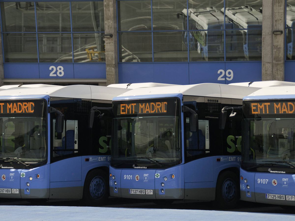 Foto: Autobuses de la Empresa Municipal de Transportes de Madrid. (EMT)