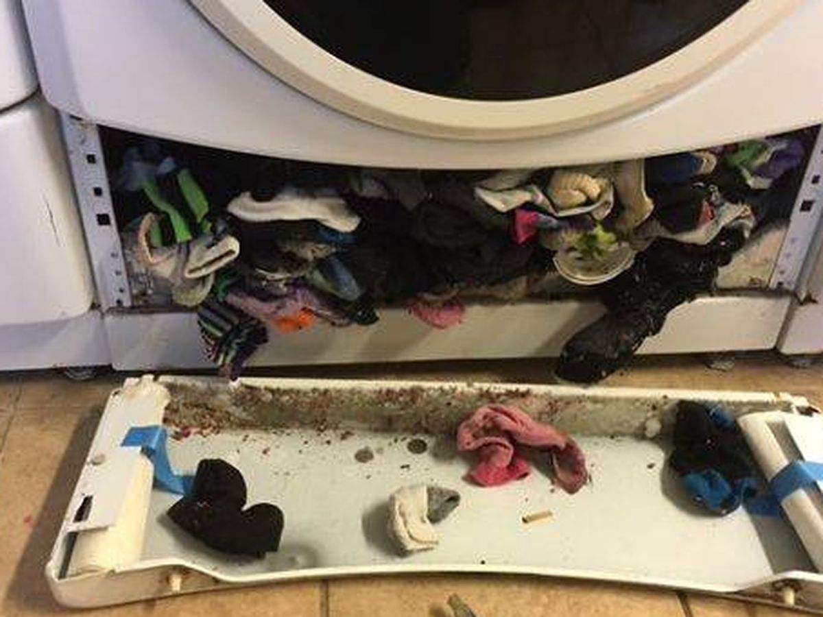 El gran revelado: la lavadora sí se 'come' tus calcetines