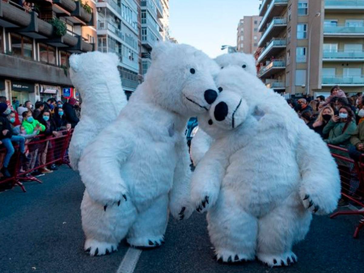 Foto: El aclamado oso "perjudicado" en la cabalgata de Reyes de Cádiz de 2022 (Ayuntamiento de Cádiz)