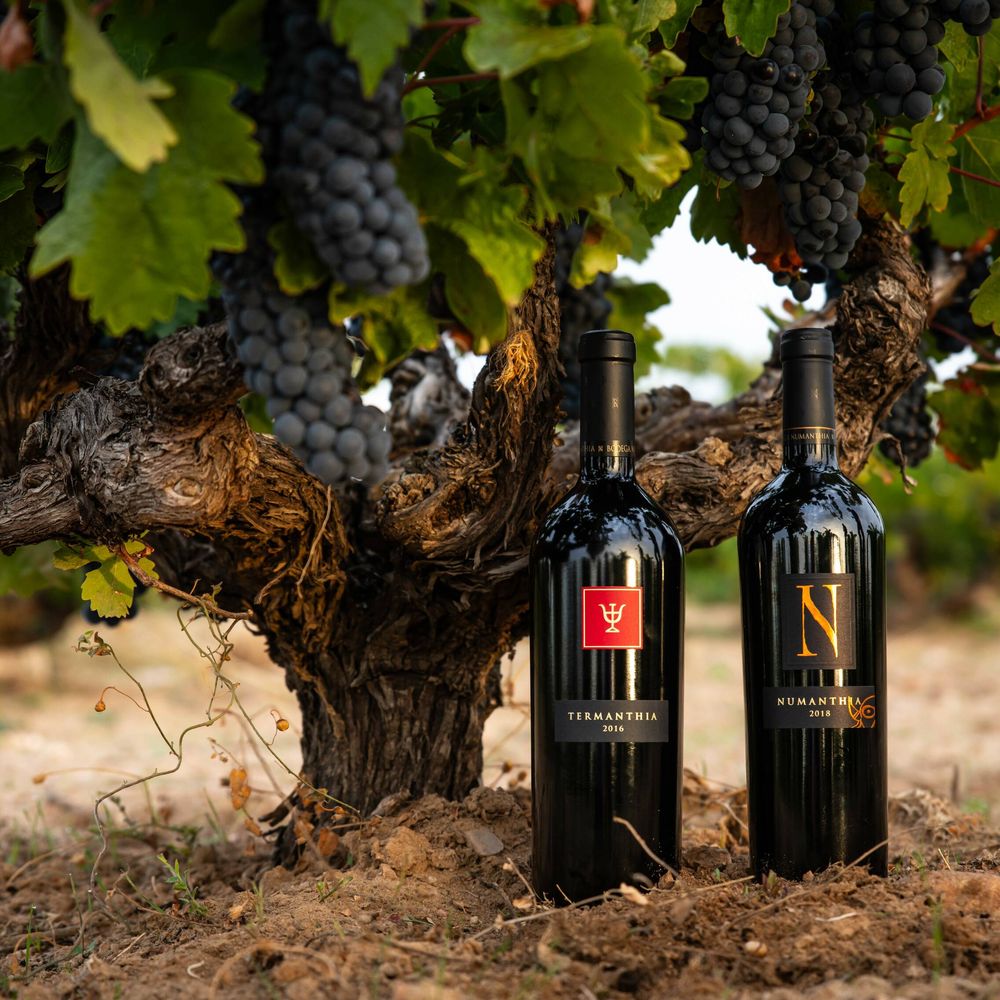 Termanthia 2016 y Numanthia 2018 son dos vinos únicos y excepcionales, dos expresiones de una única variedad de uva, 100% tinta de Toro. (Cortesía)