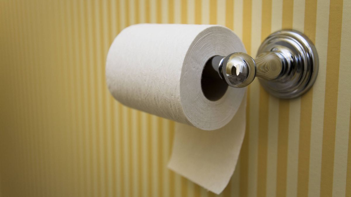 ¿Qué se usaba antes de que se inventara el papel higiénico?